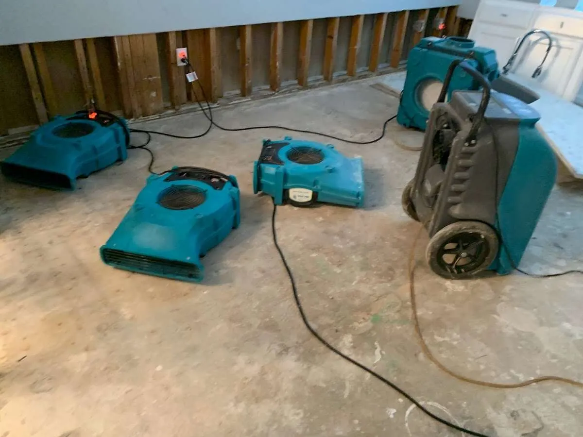 Mold Inspection & Testing in Marco Island, FL
