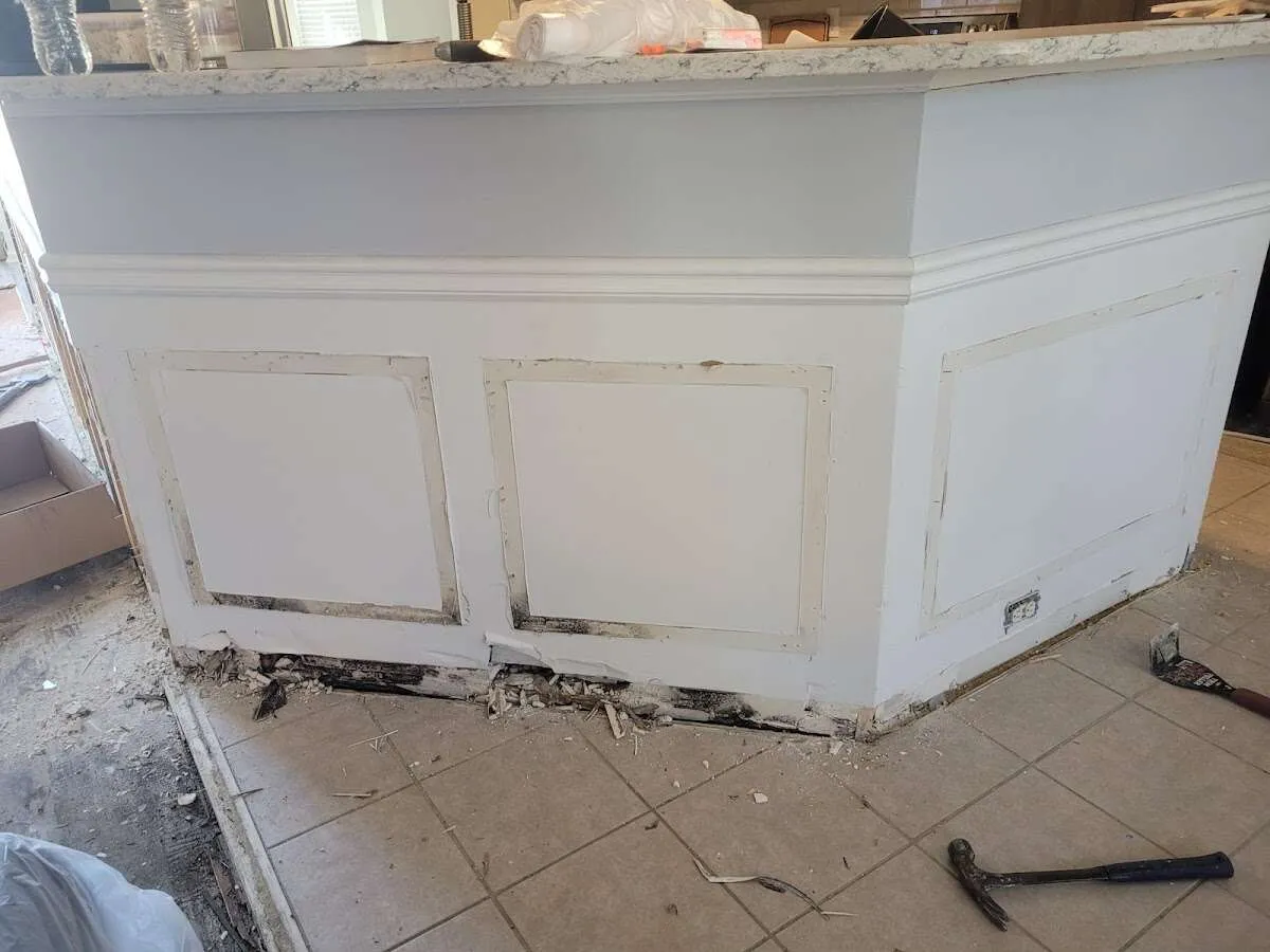 Water damage and mold on kitchen during Mold Inspection & Testing in Marco Island